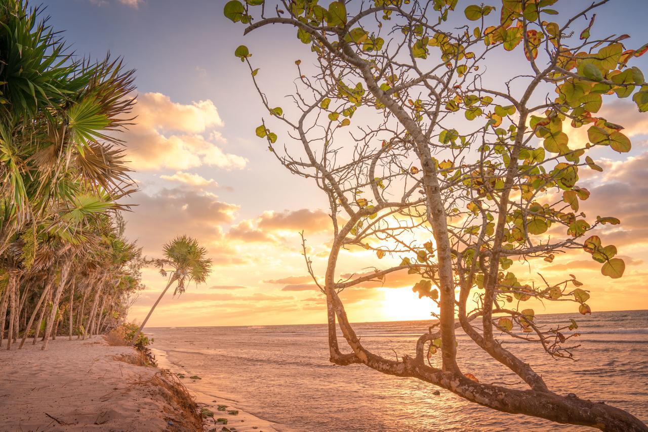 Platinum Yucatan Princess Adults Only プレヤデルカーメン エクステリア 写真 Sunset at the beach
